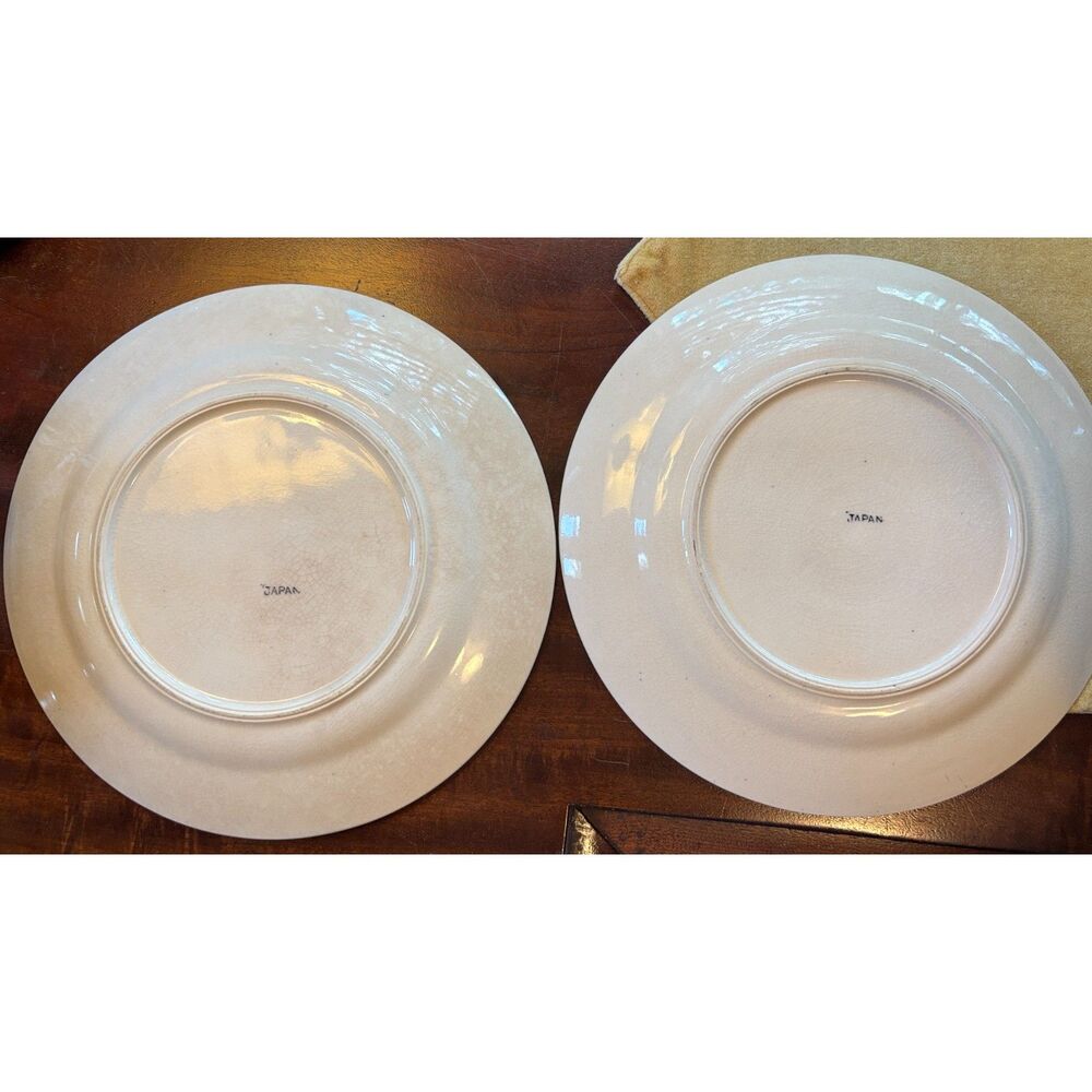 Blue Willow 9.5 inch plates- 2 available